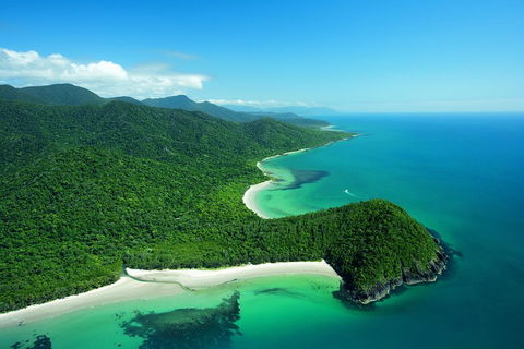 Double Pack-Ancient Rainforest And Waterfalls! - Accommodation Mount Tamborine 1