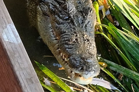 Litchfield Park Adventures And Jumping Crocodile Cruise + Butterfly Farm - Accommodation Mount Tamborine 1