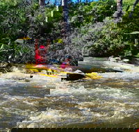 Yarra River Half-Day Rafting Experience - Accommodation Mount Tamborine