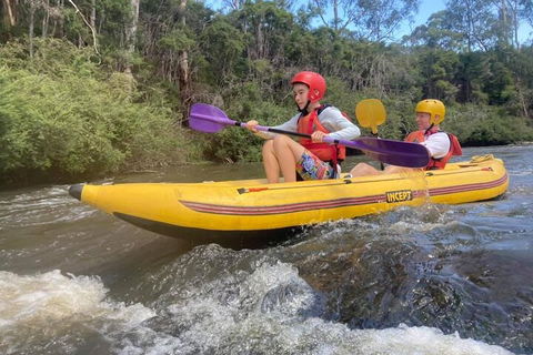 Yarra River Half-Day Rafting Experience - Accommodation Mount Tamborine 1