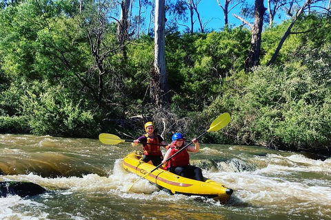 Yarra River Half-Day Rafting Experience - Accommodation Mount Tamborine 2