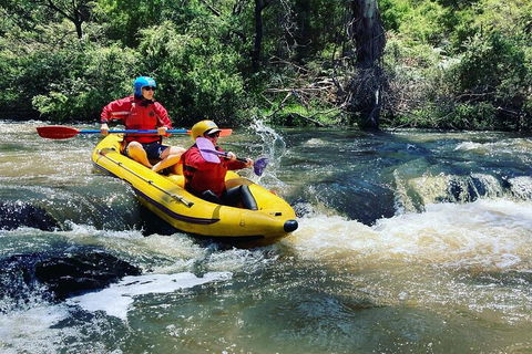 Yarra River Half-Day Rafting Experience - Accommodation Mount Tamborine 4