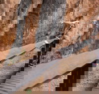 Chillagoe Caves and Outback Day Trip from Cairns - Accommodation Mount Tamborine