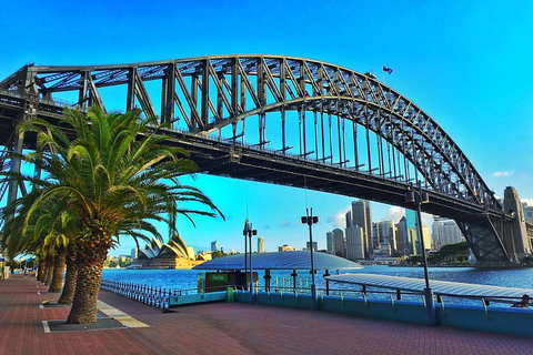 The Rocks & Darling Harbour With A Local: Private & Personalized - Accommodation Mount Tamborine 2