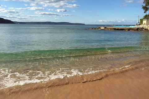 Small-Group Sydney's Northern Beaches And Ku-ring-gai National Park Bus Tour - Accommodation Mount Tamborine 1