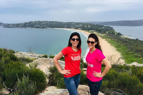 Small-Group Sydney's Northern Beaches And Ku-ring-gai National Park Bus Tour - Accommodation Mount Tamborine 3