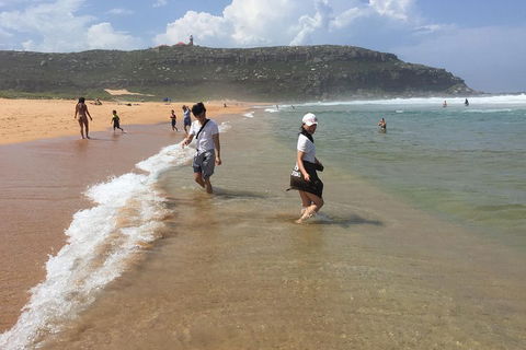 Small-Group Sydney's Northern Beaches And Ku-ring-gai National Park Bus Tour - Accommodation Mount Tamborine 5