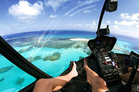 Private Coral Cay Bubbles Tour - Accommodation Mount Tamborine 1
