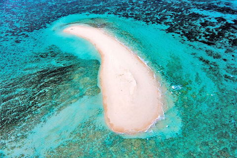 Private Coral Cay Bubbles Tour - Accommodation Mount Tamborine 3