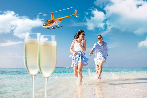 Private Coral Cay Bubbles Tour - Accommodation Mount Tamborine 4