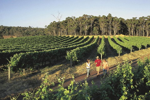 Margaret River, Caves, Wine And Cape Leeuwin Lighthouse Tour From Perth - Accommodation Mount Tamborine 1
