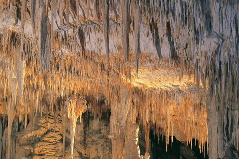 Margaret River, Caves, Wine And Cape Leeuwin Lighthouse Tour From Perth - Accommodation Mount Tamborine 3