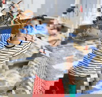 Pinnacles Desert Koalas and Sandboarding 4WD Day Tour from Perth - Accommodation Mount Tamborine