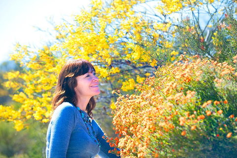 Best Of Perth Wildflower Season Day Trip - Accommodation Mount Tamborine 2