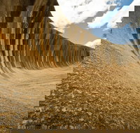 Wave Rock York Wildflowers and Aboriginal Cultural Day Tour from Perth - Accommodation Mount Tamborine