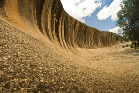 Wave Rock, York, Wildflowers, And Aboriginal Cultural Day Tour From Perth - Accommodation Mount Tamborine 0