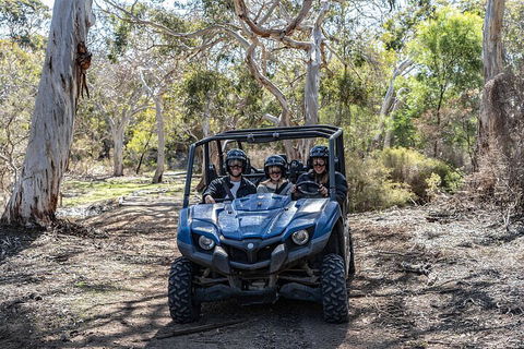 Small-Group Buggy Tour At Little Sahara With Guide - Accommodation Mount Tamborine 0
