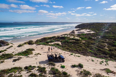 Small-Group Buggy Tour At Little Sahara With Guide - Accommodation Mount Tamborine 1