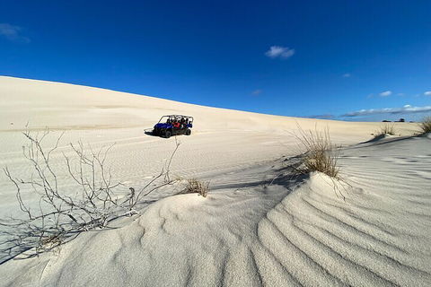 Small-Group Buggy Tour At Little Sahara With Guide - Accommodation Mount Tamborine 3