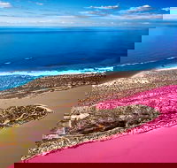 Pink Lake Small-Group Buggy Tour - Accommodation Mount Tamborine