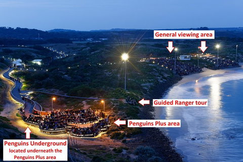 Phillip Island Penguin, Brighton Beach, Moonlit Sanctuary From Melbourne - Accommodation Mount Tamborine 4