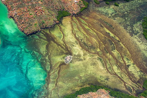 Fly The Falls Tour - Accommodation Mount Tamborine 0