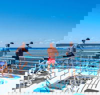 Calypso Outer Great Barrier Reef Cruise from Port Douglas - Accommodation Mount Tamborine