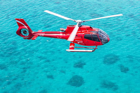 Helicopter And Cruise Packages From Port Douglas - Accommodation Mount Tamborine 5