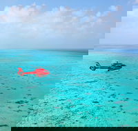 Port Douglas Scenic Flights - Accommodation Mount Tamborine