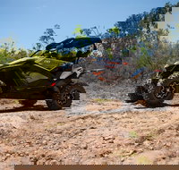License to Thrill 1.5 Hour Off-road Tour in Darwin 1 person 2 seater vehicle - Accommodation Mount Tamborine