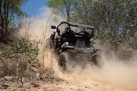 License To Thrill: 1.5 Hour Off-road Tour In Darwin (1 Person: 2 Seater Vehicle) - Accommodation Mount Tamborine 3
