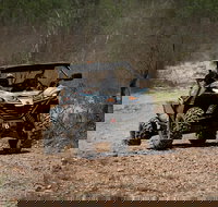 Octopussy 1.5 hour off-road tour in Darwin 1 person in 2 seater - Accommodation Mount Tamborine