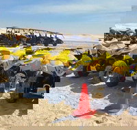 Kids Quads 1 Hour  free Sandboard Hire - Accommodation Mount Tamborine