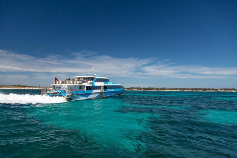 Rottnest Island All-Inclusive Grand Island Tour From Fremantle - Accommodation Mount Tamborine 3