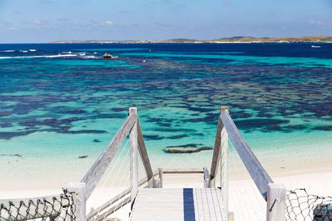 Rottnest Island All-Inclusive Grand Island Tour From Fremantle - Accommodation Mount Tamborine 4