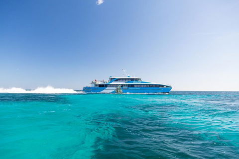 Rottnest Island Bike, Snorkel & Ferry Package From Fremantle - Accommodation Mount Tamborine 0