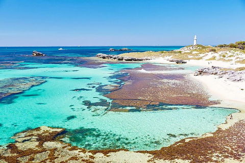 Rottnest Island Bike, Snorkel & Ferry Package From Fremantle - Accommodation Mount Tamborine 4