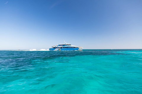 Rottnest Island Fortress Adventure Segway Package From Fremantle - Accommodation Mount Tamborine 0