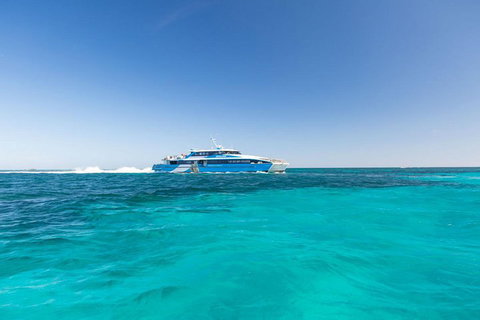 Rottnest Island Bike, Snorkel & Ferry Package From Perth - Accommodation Mount Tamborine 1