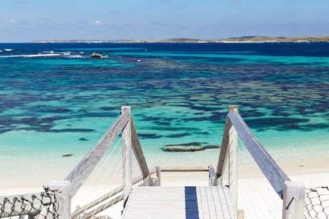 Rottnest Island Bike, Snorkel & Ferry Package From Perth - Accommodation Mount Tamborine 4