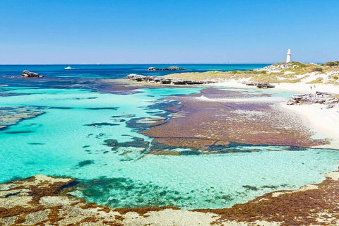 Rottnest Island Bike, Snorkel & Ferry Package From Perth - Accommodation Mount Tamborine 5