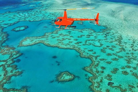 Whitehaven Heli Tour - Accommodation Mount Tamborine 3