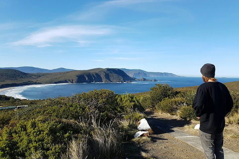 4-Day Fabulous Tasmania Tour: Wineglass Bay, Port Arthur, Devils & Bruny Island - Accommodation Mount Tamborine 0