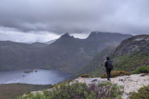 5-Day Best Of Tasmania Tour From Hobart - Accommodation Mount Tamborine 3