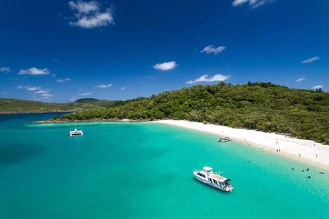 Whitehaven Beach And Hill Inlet | Awesome Beach BBQ | Family Friendly - Accommodation Mount Tamborine 3