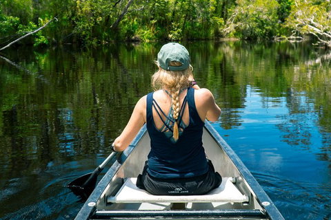 Cruise 'n' Canoe To Australia's Everglades - Accommodation Mount Tamborine 0