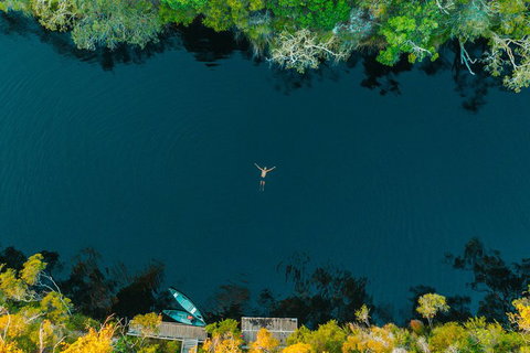 Cruise 'n' Canoe To Australia's Everglades - Accommodation Mount Tamborine 2