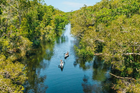 Cruise 'n' Canoe To Australia's Everglades - Accommodation Mount Tamborine 3