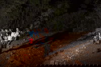 Alice Springs Desert Park Nocturnal Tour