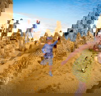 Full-Day Pinnacles Desert and Yanchep National Park Tour From Perth - Accommodation Mount Tamborine